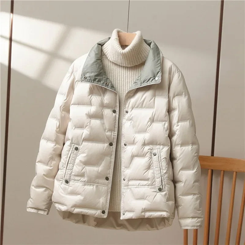 Collar Jacket | Sleek Warmth with Modern Minimalism