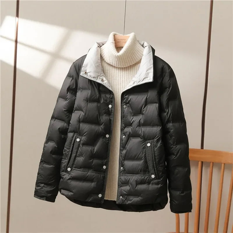 Collar Jacket | Sleek Warmth with Modern Minimalism
