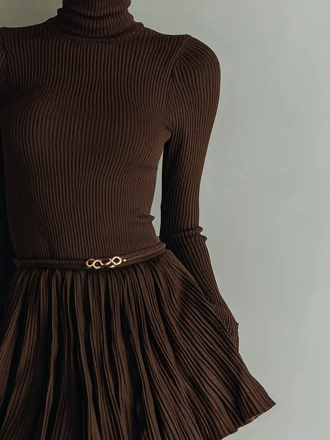 Stylish and elegant brown textured bodycon mini dress